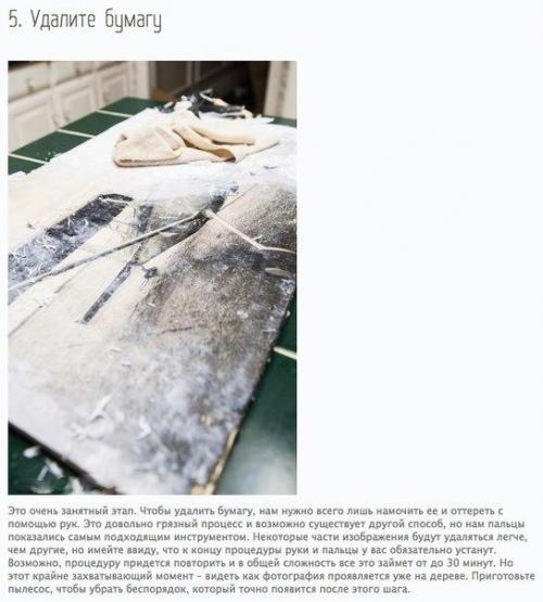 Как перенести фотографию на дерево. 02