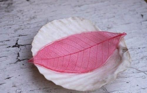 Скелетирование листьев. ( Art). 01