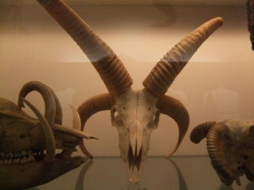 Люцифер кто это. 10 пророчеств Люцифера.