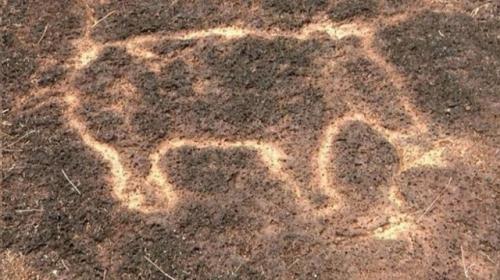 Загадочная цивилизация в Индии. 02 Загадочная цивилизация в Индии. 02