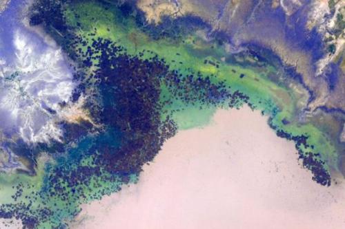 Первые снимки астронавта Скотта келли (Scott Kelly). 06