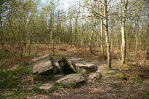 Легенды бретонского леса. 04