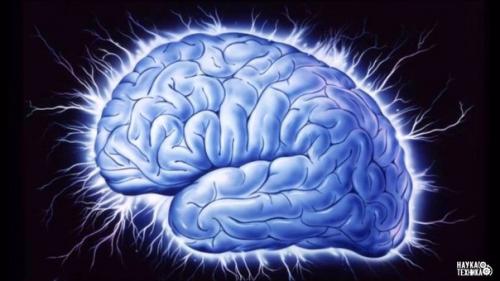 Как на мозг влияет время суток. 

