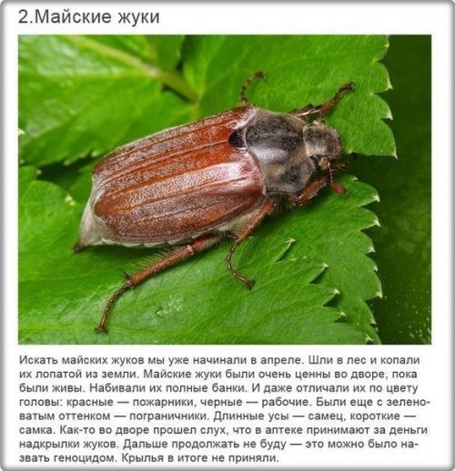 Как развлекались дети в СССР. 01