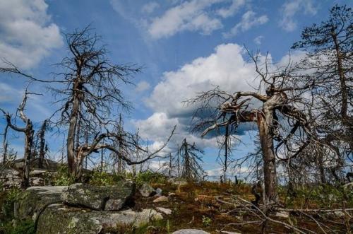 Воттоввара - самая загадочная гора в Карелии. 02 Воттоввара - самая загадочная гора в Карелии. 02
