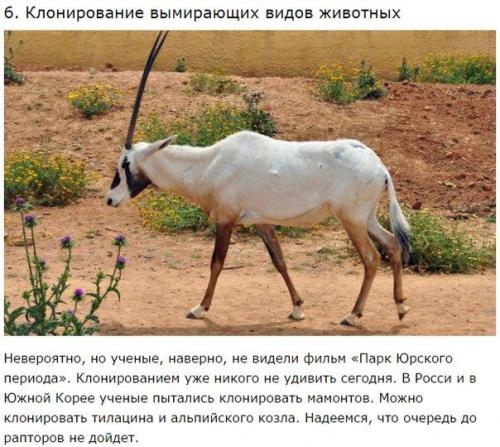 10 неимоверных научных революционных достижений. 05