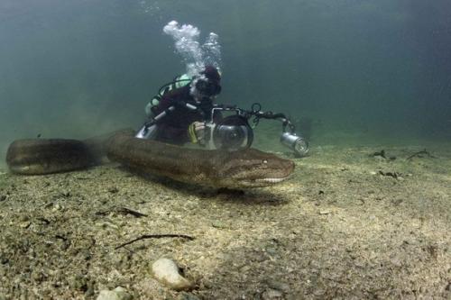 Ура?  Девочки, я нашла чудо средство для быстрого роста волос?