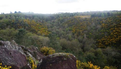 Легенды бретонского леса. 01