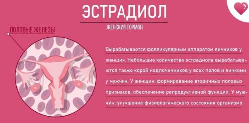 Это нужно знать всем и каждому! 04