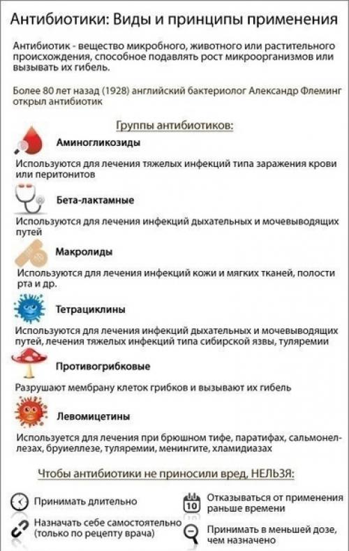 Наглядные карточки про наше с вами тело и его здоровье. 01