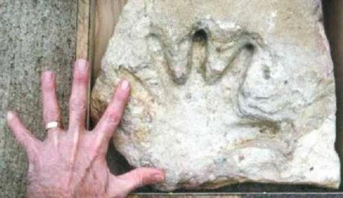 Зачем ученые лгут, что на земле человек построил первую разумную цивилизацию? 01