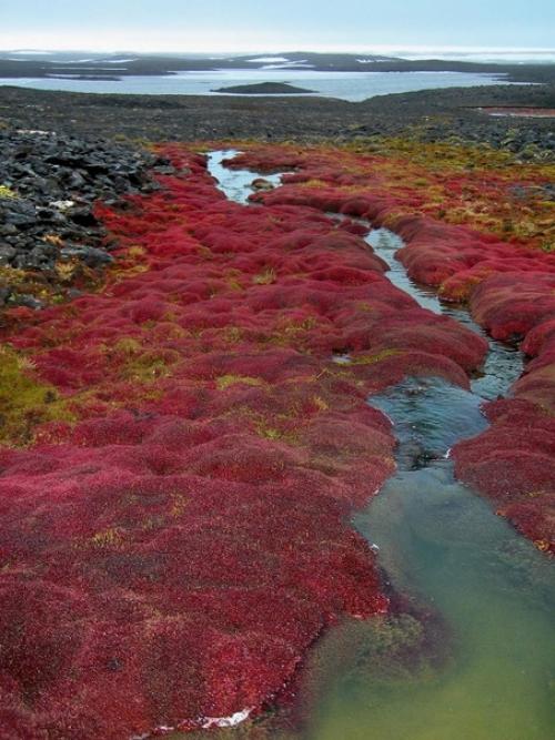 Самая северная точка России - земля Франца - Иосифа. 01