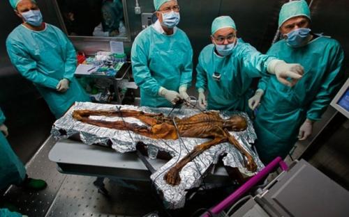 В сентябре 1991 года семейная пара из Нюрнберга, путешествуя пешком по альпийским горам, обнаружила мумию человека. 02