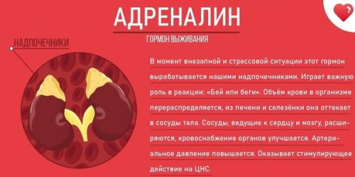 Это нужно знать всем и каждому! 01