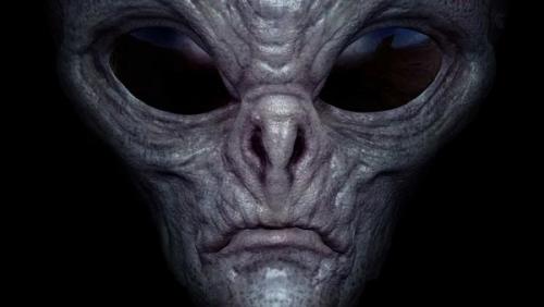 В Ватикане нашли древние черепа неизвестных существ. 01 В Ватикане нашли древние черепа неизвестных существ. 01