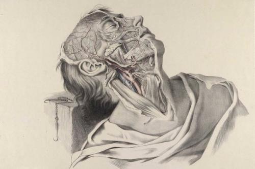 34 самых лучших книг великих психологов.

