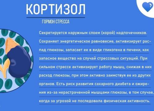 Это нужно знать всем и каждому! 06