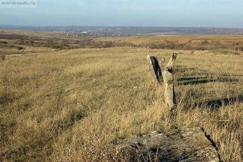 Подберите с помощью колористики несколько цветов. 03