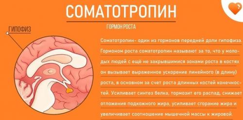 Это нужно знать всем и каждому! 07