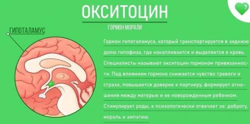 Это нужно знать всем и каждому! 05