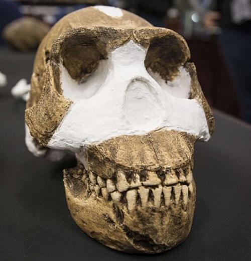 Люди и Naledi. 05 Люди и Naledi. 05