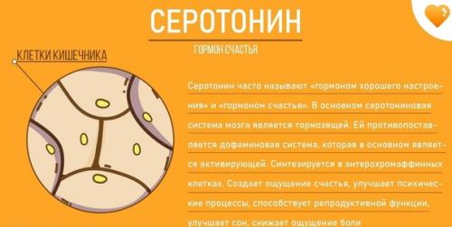 Это нужно знать всем и каждому! 08