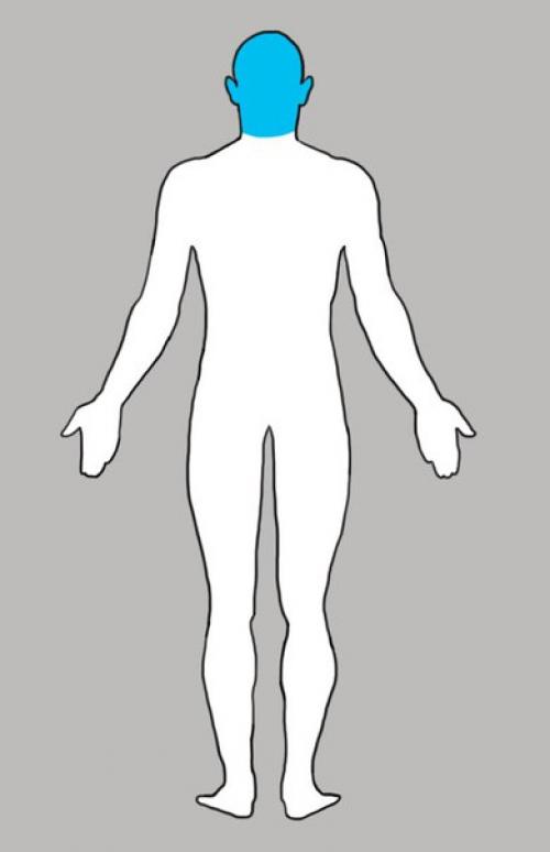 Почему у тебя что-то болит: всему есть своя причина? 

