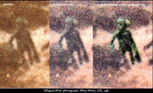 Карлик илкри из болот.