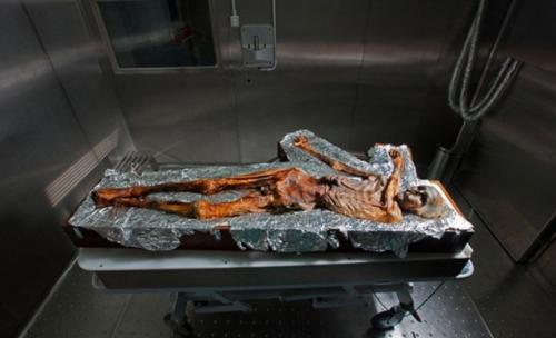 В сентябре 1991 года семейная пара из Нюрнберга, путешествуя пешком по альпийским горам, обнаружила мумию человека. 01