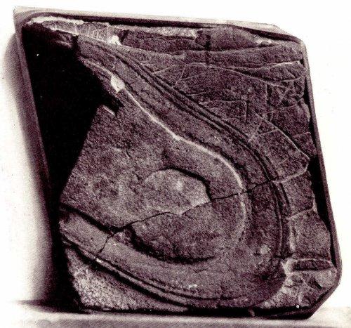 Зачем ученые лгут, что на земле человек построил первую разумную цивилизацию? 03