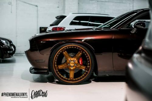 Challenger Srt8 обтянутый винилом 3M Black Rose. 02