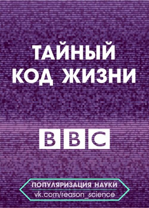 Тайна кодов. Код жизни. Тайный код жизни. Тайный код жизни ВВС. Тайные коды для жизни.