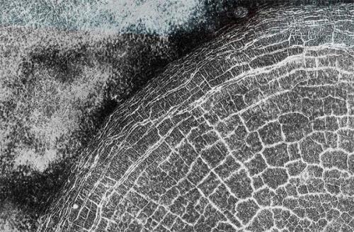 Орбитальный аппарат заполненный трещинами кратер на поверхности марса запечатлел.