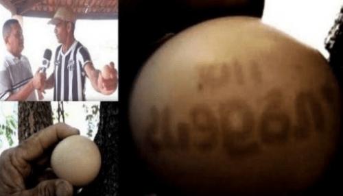 Курица в Бразилии яйцо с текстовым посланием снесла. 01