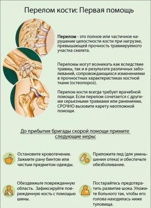 Наглядные карточки про наше с вами тело и его здоровье. 04