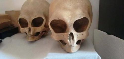 В Ватикане нашли древние черепа неизвестных существ. 05 В Ватикане нашли древние черепа неизвестных существ. 05