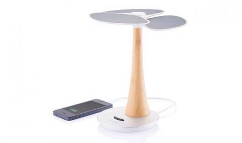 Зарядное устройство Ginkgo.