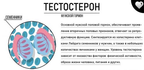 Это нужно знать всем и каждому! 03