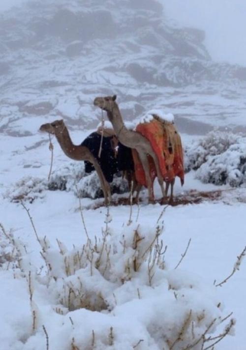 Таким образом, если у вас до сих пор нет снега, и вы задаётесь вопросом, где же он, то вам стоит это увидеть. 02