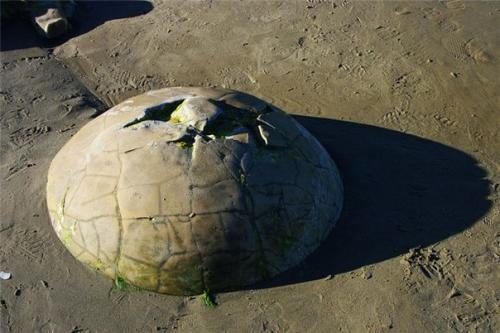 А вы знали? 09 А вы знали? 09