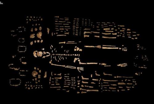 Люди и Naledi. 04 Люди и Naledi. 04