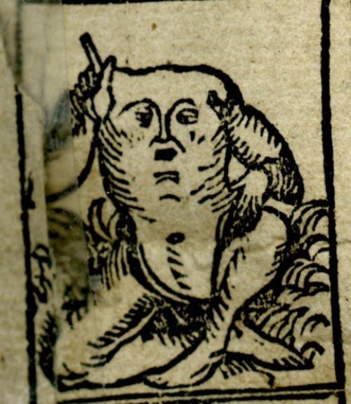 Странные существа прошлого.  