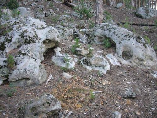 Самарские аномалии: тайны рачейского бора. 01 Самарские аномалии: тайны рачейского бора. 01