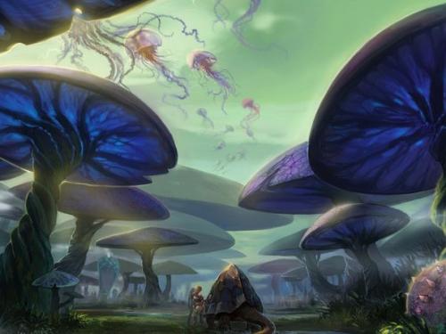 Каньон красных бизонов. 03