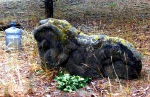 Самарские аномалии: тайны рачейского бора. 03 Самарские аномалии: тайны рачейского бора. 03