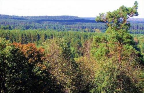 Самарские аномалии: тайны рачейского бора. Самарские аномалии: тайны рачейского бора.