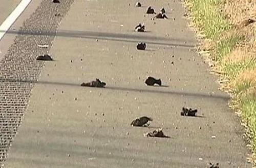 О природных аномалиях. 02 О природных аномалиях. 02