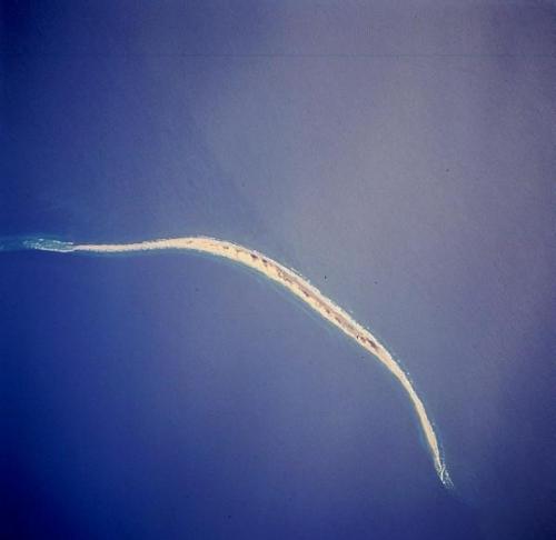 Остров сейбл - инопланетный биоробот?