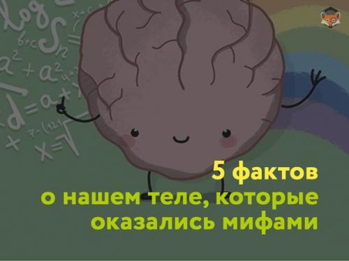 1. витамины делают нас здоровыми.
