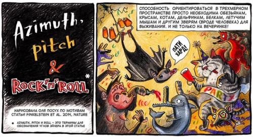 Удивительное рядом.  Никогда не знаешь, как видит окружающее пространство пролетающая мимо мышь.